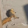 20240107_175215.webp