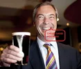 Nigel.webp