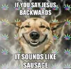 stoner-dog-jesus-backwards1.webp stoner-dog-jesus-backwards1.webp