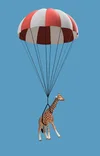 Paragiraffe.webp