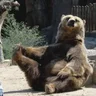 Nunskybear
